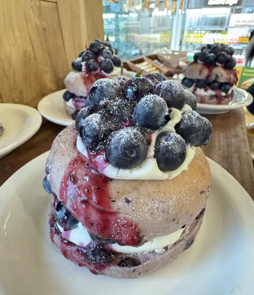 Bagel Land 藍莓貝果