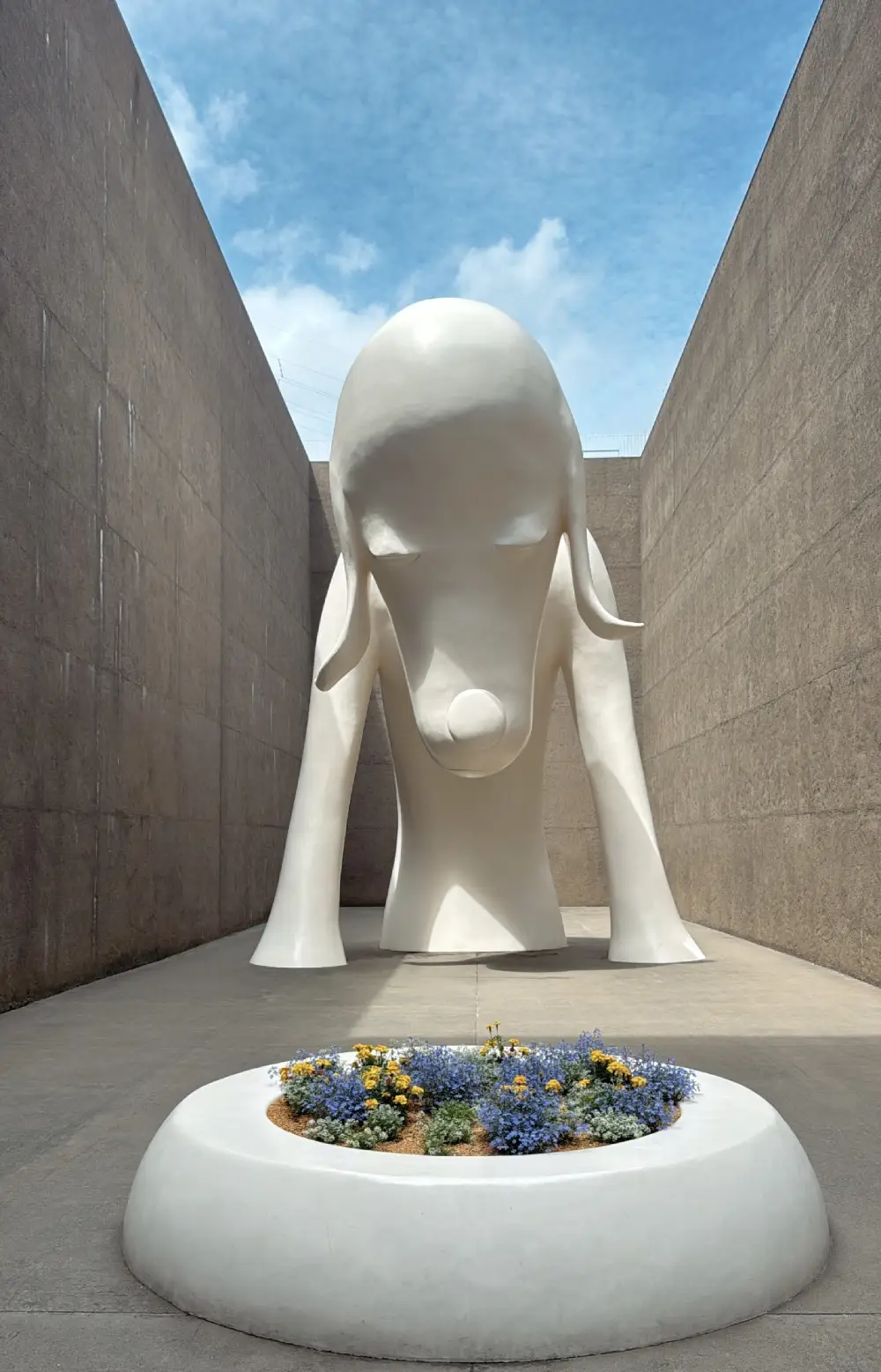 青森縣立美術館 あおもり犬 — 奈良美智白色大型犬雕塑正面與花圃