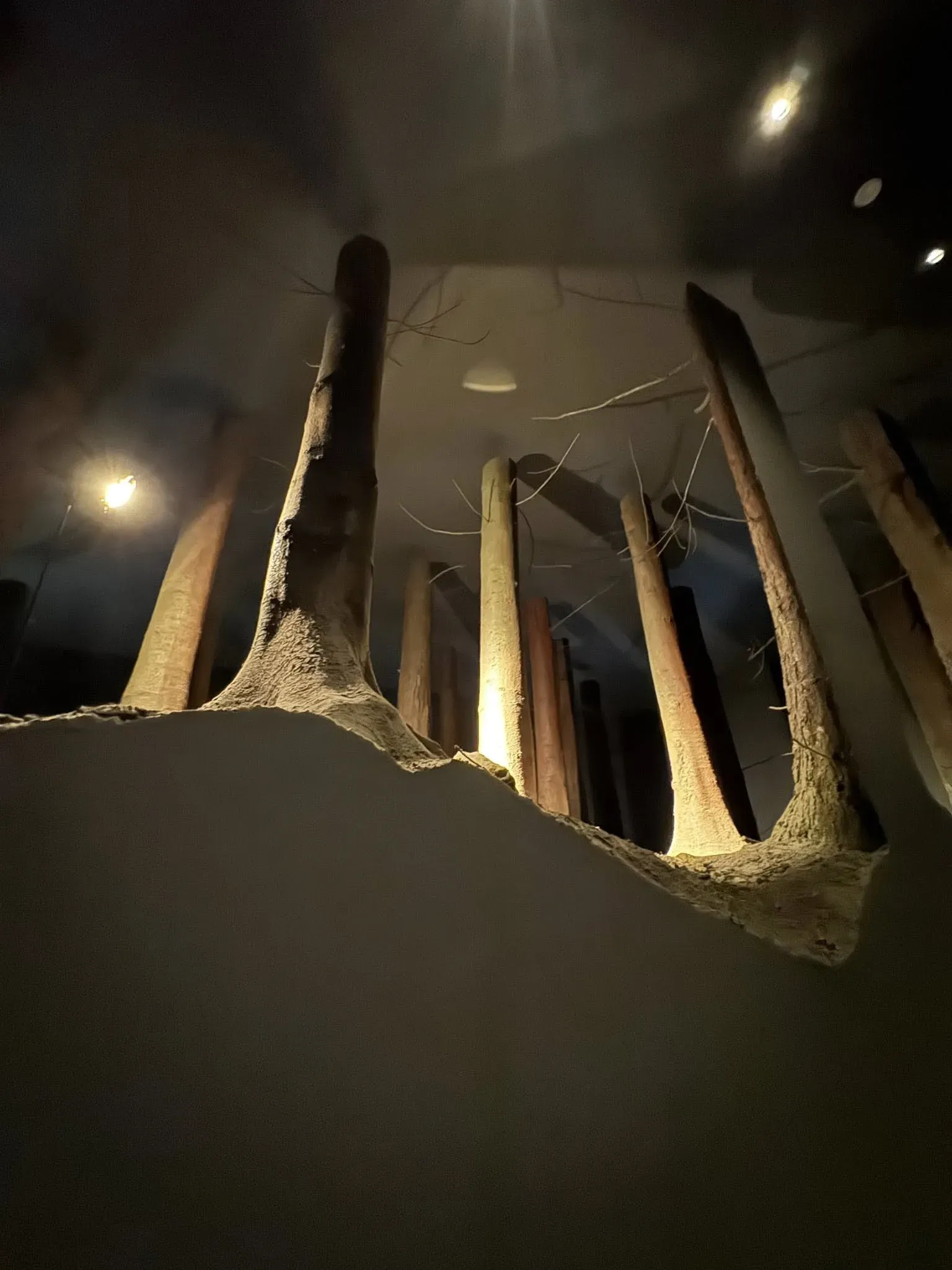 青森十和田市現代美術館 館內裝置 — 暗室木柱森林裝置