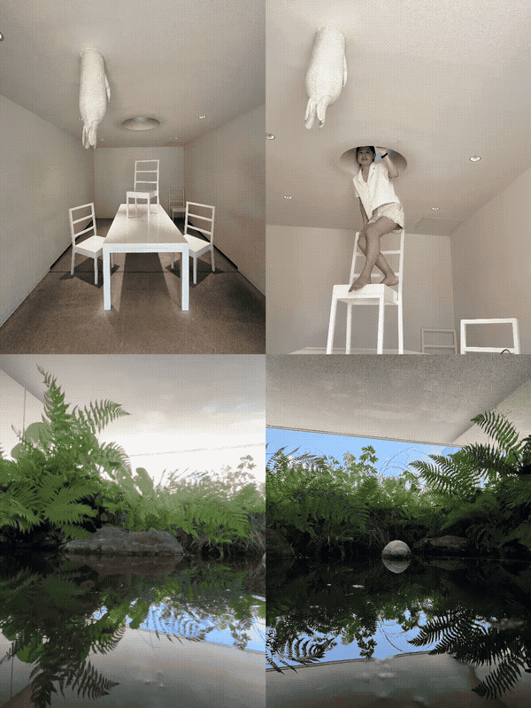 青森十和田市現代美術館 栗林隆 Sumpf Land — 沼澤地洞口探頭動態實況