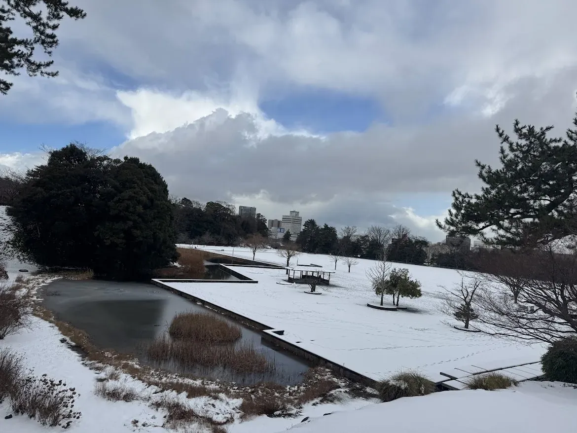 金澤城公園 雪地步道與松樹雪景全景