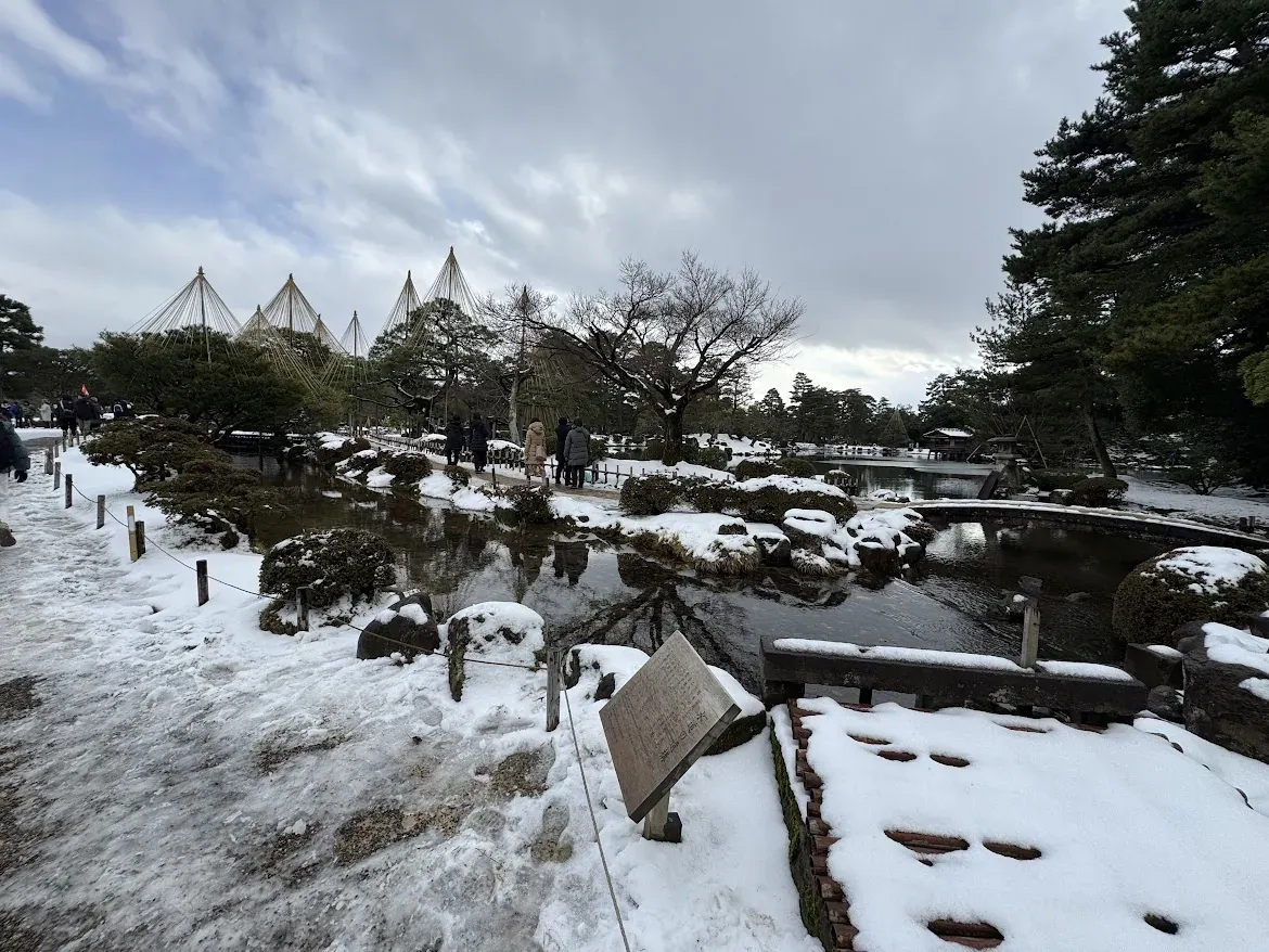 兼六園 霞ヶ池與雪吊松樹冬景