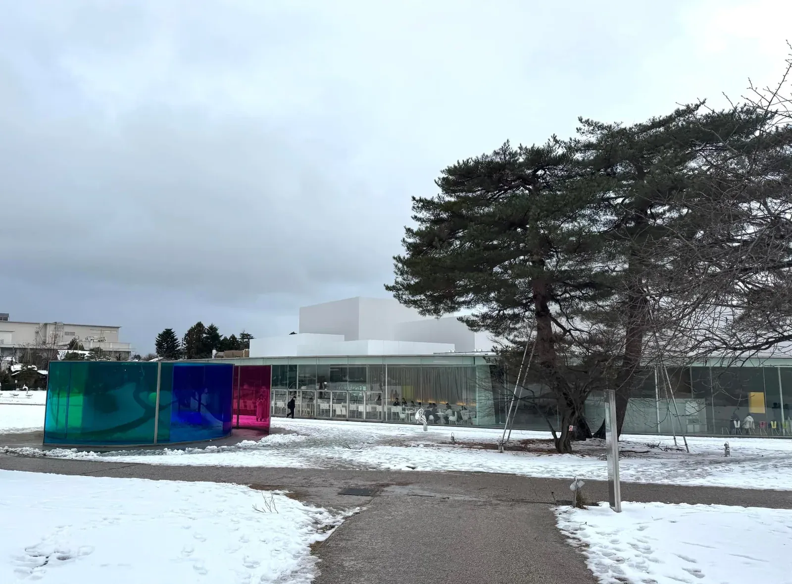 金澤 21 世紀美術館 玻璃帷幕與自然光