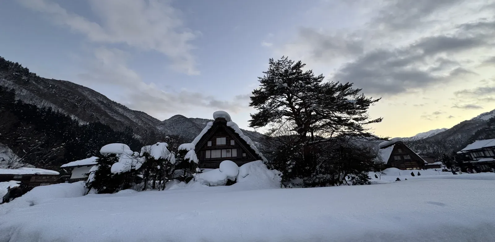白川鄉合掌村點燈 — 合掌屋近拍燈光雪景