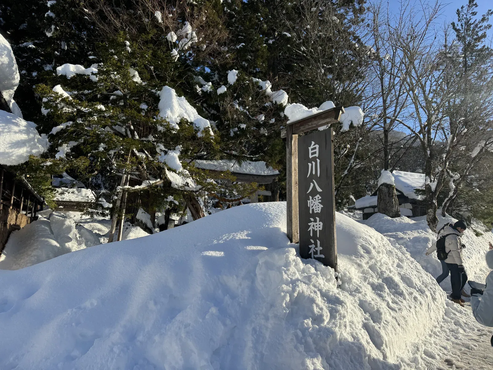 白川鄉 白川八幡神社 雪景 — 神社鳥居與積雪冬景