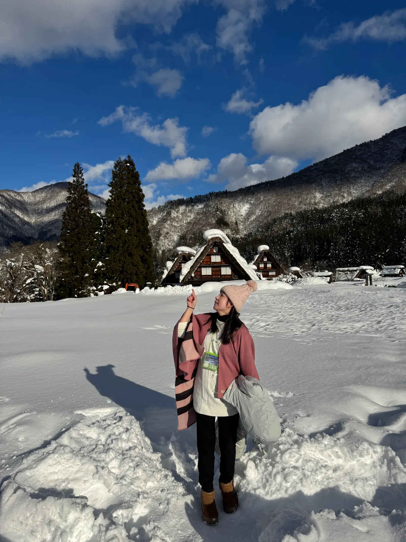 白川鄉 雪地村落 — 合掌屋與白雪街道