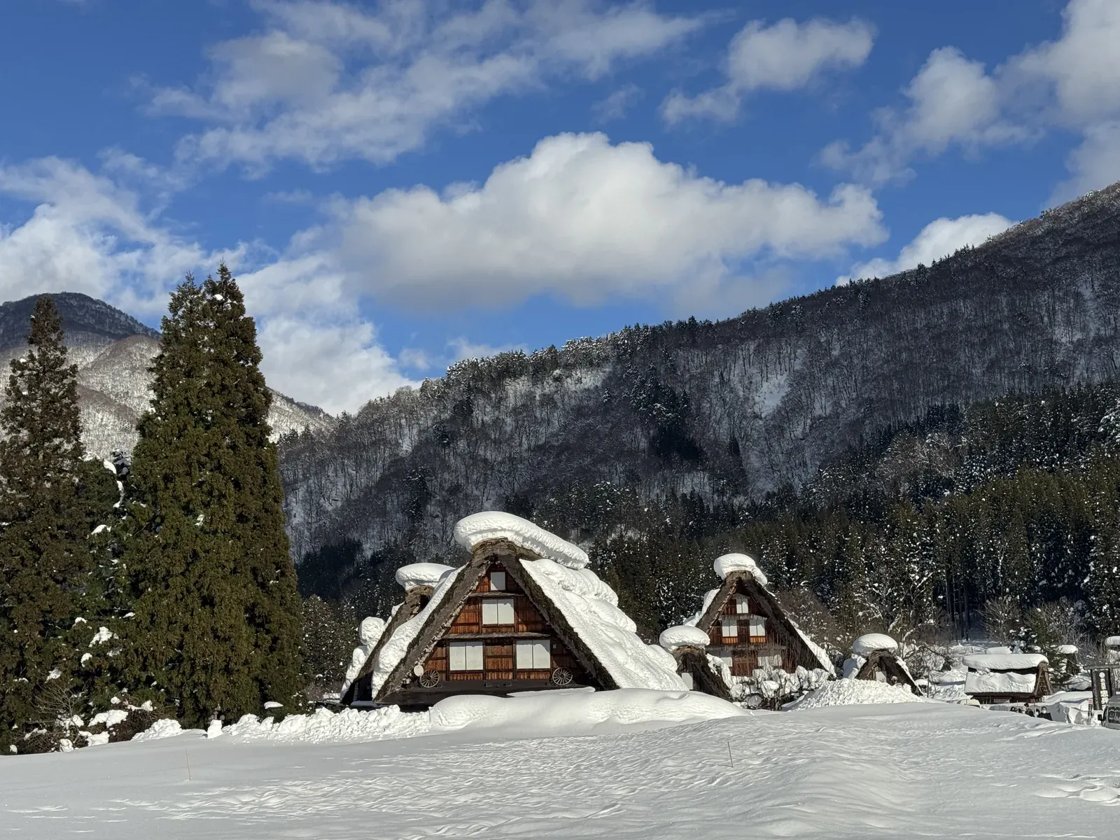 白川鄉合掌村 雪景全景 — 合掌屋群白雪覆蓋冬景