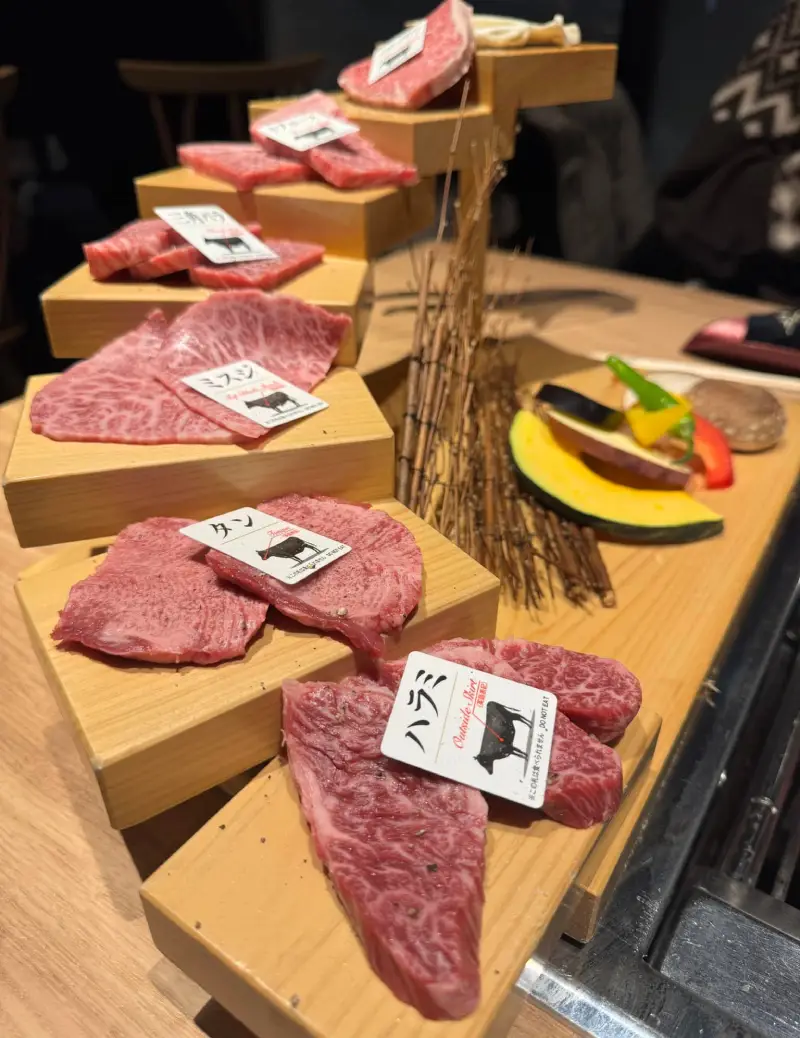 高山 飛驒牛 部位展示 — 和牛各部位肉質說明展示