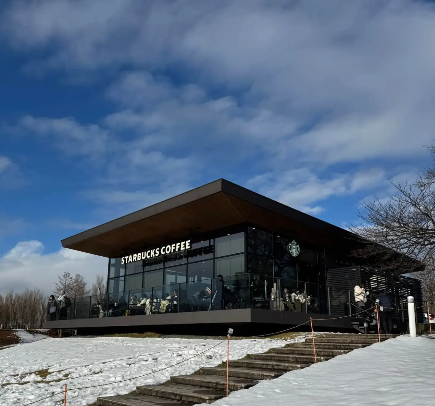 富山富岩運河環水公園 星巴克外觀 — 雪地石階與落地玻璃建築藍天