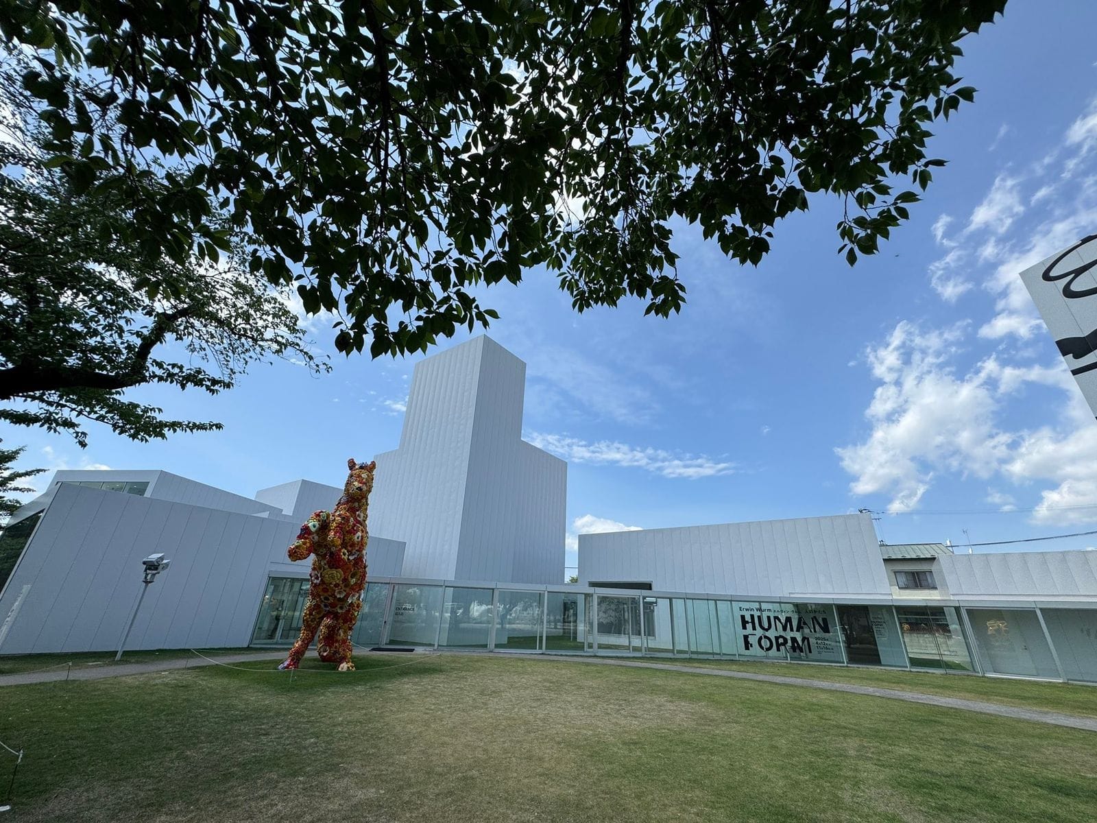 2025 年 6 月 青森 十和田市現代美術館 美術館白色建築與草地