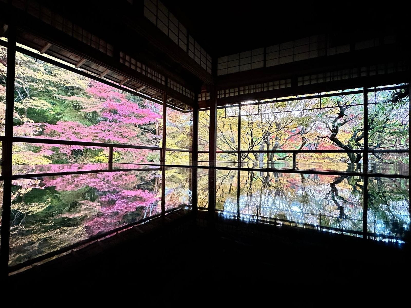 2023 年 11 月 京都 琉璃光院 書院桌面映出窗外紅葉