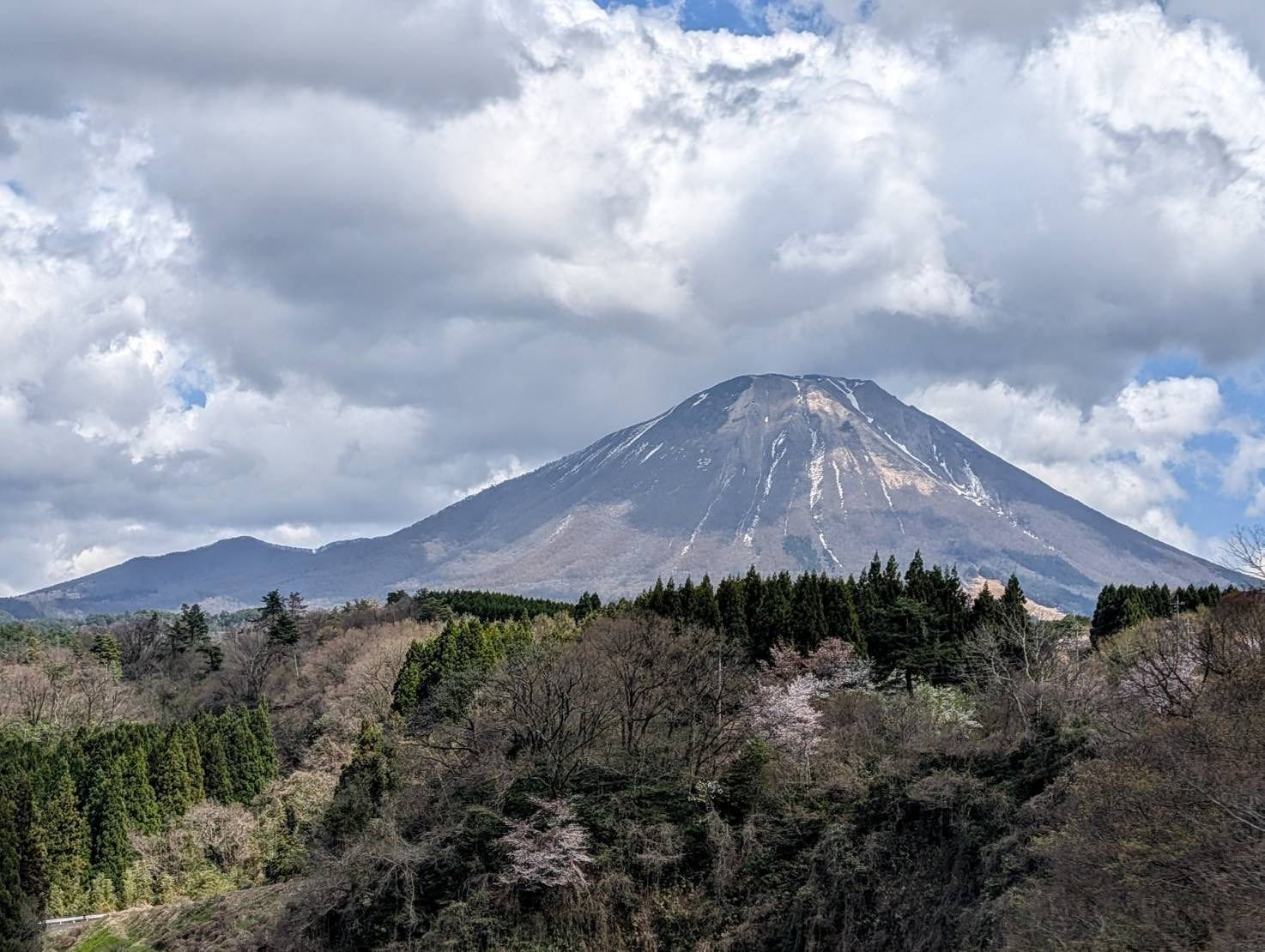 2026 年 4 月 櫻花 靈峰大山 大山與山腳的櫻花