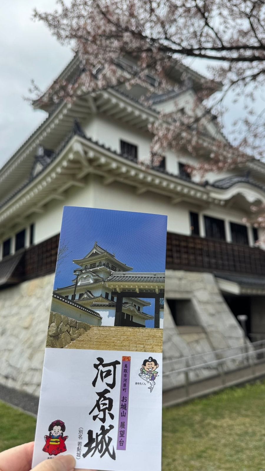 2026 年 4 月 櫻花 河原城 河原城天守與櫻花